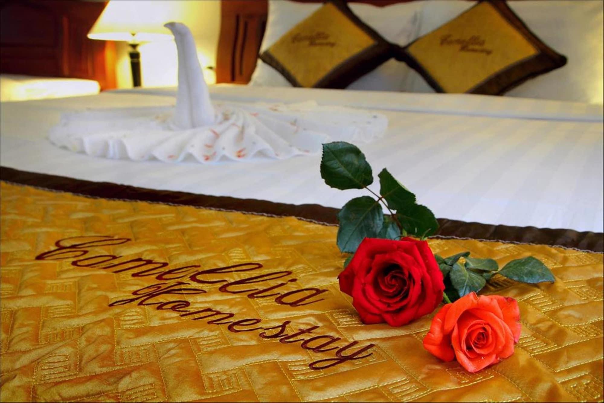 Camellia Homestay Χόι Αν Εξωτερικό φωτογραφία