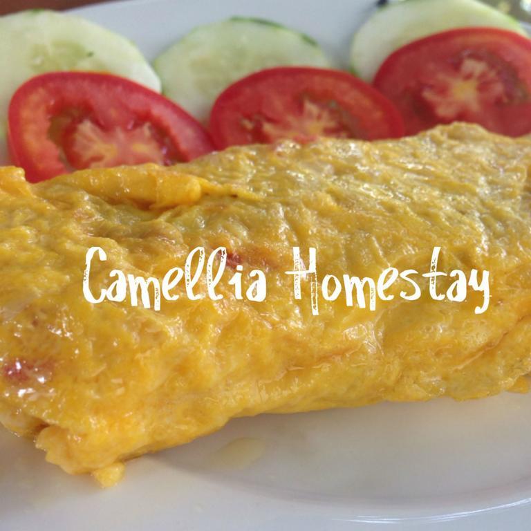 Camellia Homestay Χόι Αν Εξωτερικό φωτογραφία