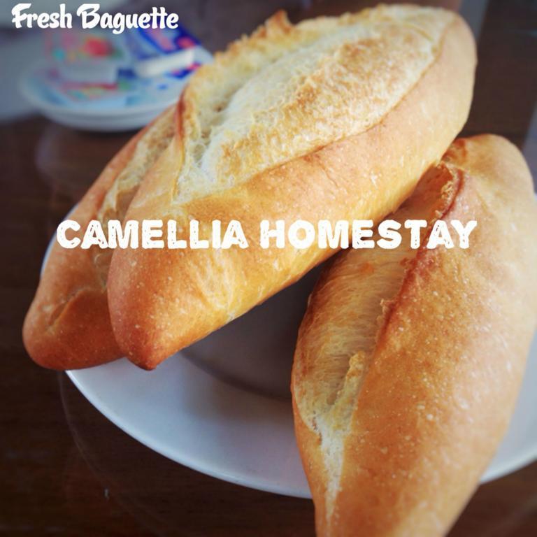 Camellia Homestay Χόι Αν Εξωτερικό φωτογραφία
